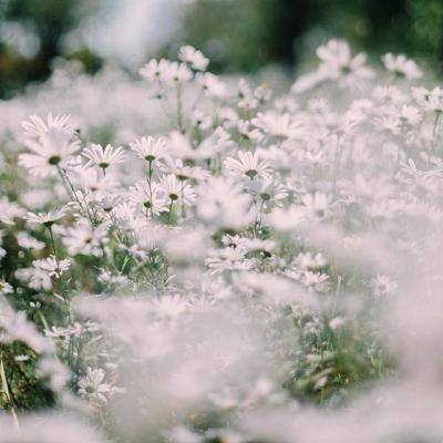 皇冠APP官方版下载安装下载手机版